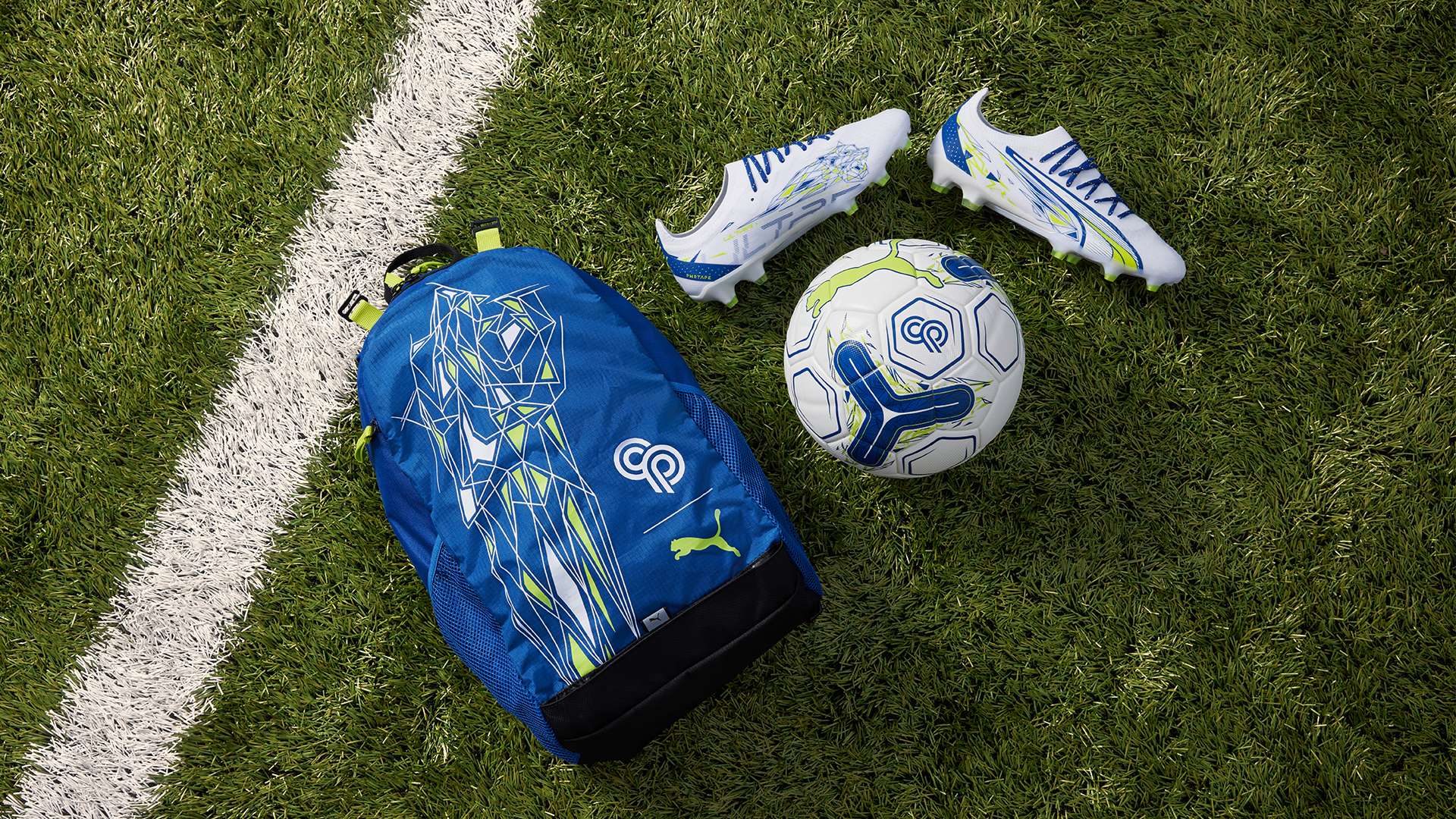 世界证明了 世界证明了