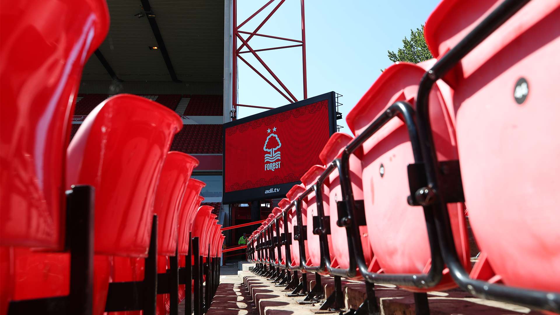 己的最佳状 己的最佳状